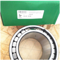 Germany Full complement cylindrical roller bearing SL06020-E